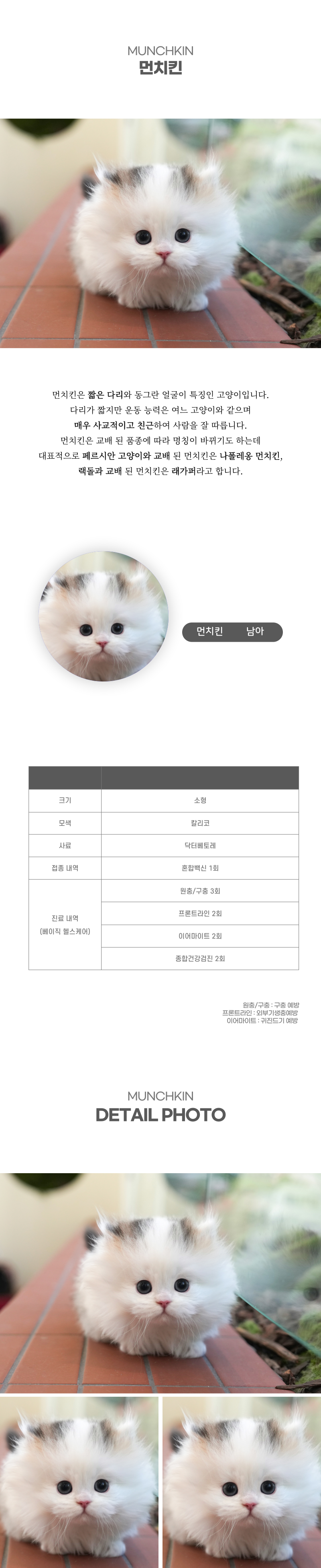 먼치킨_상세이미지_2